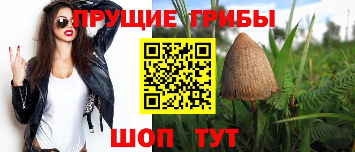 Галлюциногенные грибы Psilocybine cubensis  где продают   Зима  Вход с VPN 